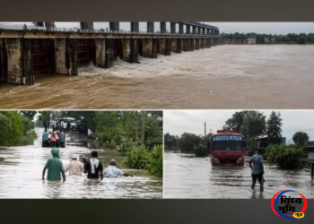 रीवा में बारिश बनी आफत: सड़कें बनीं दरिया, घरों में घुसा पानी, नदी-नाले उफान पर
