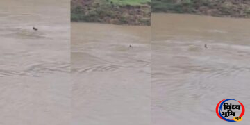 नर्मदा के तेज बहाव में बहे पिता-पुत्र, पिता का शव मिला; 10 वर्षीय बेटे की तलाश जारी.
