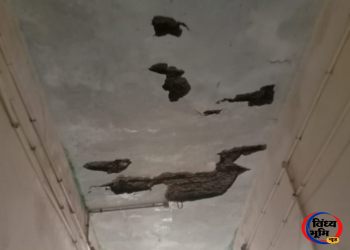 बारिश में टपक रही बनी तहसील की छत, खतरे में अधिकारी और फरियादी, विकास के दावों पर उठे सवाल 5 बारिश में टपक रही बनी तहसील की छत, खतरे में अधिकारी और फरियादी, विकास के दावों पर उठे सवाल