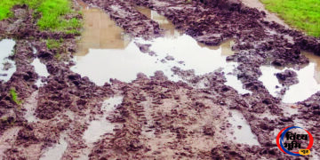वार्ड नंबर 10 में रास्ते पर फिर लगा अवरोध, रहवासी परेशान, शिकायत पर बाउंड्री तोड़कर बहाल कराया गया था मार्ग 51 वार्ड नंबर 10 में रास्ते पर फिर लगा अवरोध, रहवासी परेशान, शिकायत पर बाउंड्री तोड़कर बहाल कराया गया था मार्ग