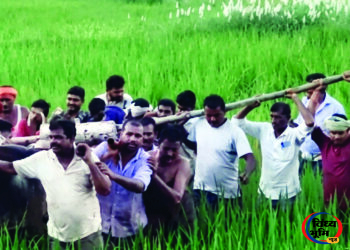 खाड़ी गांव में ग्रामीणों का आरोप—कर्मचारी मौके पर पहुंचे, लेकिन ट्रांसफार्मर उठवाने और वाहन में लोड कराने की जिम्मेदारी ग्रामीणों पर डाली 5 खाड़ी गांव में ग्रामीणों का आरोप—कर्मचारी मौके पर पहुंचे, लेकिन ट्रांसफार्मर उठवाने और वाहन में लोड कराने की जिम्मेदारी ग्रामीणों पर डाली