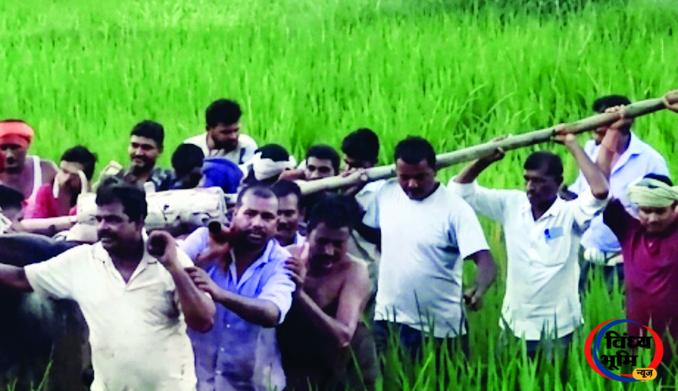 खाड़ी गांव में ग्रामीणों का आरोप—कर्मचारी मौके पर पहुंचे, लेकिन ट्रांसफार्मर उठवाने और वाहन में लोड कराने की जिम्मेदारी ग्रामीणों पर डाली 45 ग्रामीणों से ट्रांसफार्मर उठवाने का आरोप, खाड़ी गांव सीधी