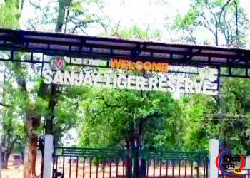 14 करोड़ की फर्जी एफडीआर मामले में जिला प्रबंधक निलंबित, 27.68 करोड़ के चावल घोटाले में पहली बड़ी कार्रवाई 45 14 करोड़ की फर्जी एफडीआर मामले में जिला प्रबंधक निलंबित, 27.68 करोड़ के चावल घोटाले में पहली बड़ी कार्रवाई