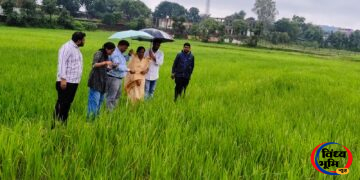Kusmi news,कुसमी के भगवार में धान की फसल में कीट-व्याधि का प्रकोप, कृषि उपसंचालक ने किया निरीक्षण 46 Kusmi news,कुसमी के भगवार में धान की फसल में कीट-व्याधि का प्रकोप, कृषि उपसंचालक ने किया निरीक्षण