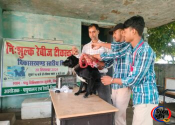 Kusmi news,कुसमी पशु चिकित्सालय में विश्व रेबीज दिवस पर टीकाकरण शिविर, पशुओं को लगाए गए रेबीज रोधी टीके 46 Kusmi news,कुसमी पशु चिकित्सालय में विश्व रेबीज दिवस पर टीकाकरण शिविर, पशुओं को लगाए गए रेबीज रोधी टीके