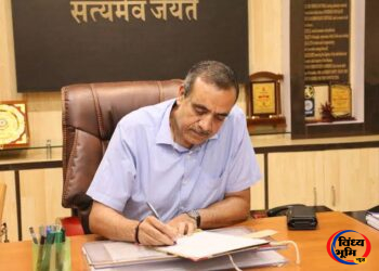 सीधी में अनुकंपा नियुक्ति की राह खुली, 9 अभ्यर्थियों को मिली सरकारी नौकरी