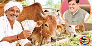 देसी गाय पालने वाले किसानों को हर माह मिलेंगे 900 रुपये, 15 नवंबर से योजना शुरू करने की तैयारी 51 देसी गाय पालने वाले किसानों को हर माह मिलेंगे 900 रुपये, 15 नवंबर से योजना शुरू करने की तैयारी