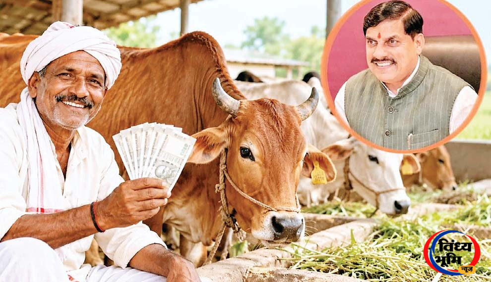 देसी गाय पालने वाले किसानों को हर माह मिलेंगे 900 रुपये, 15 नवंबर से योजना शुरू करने की तैयारी 45 1 29 2