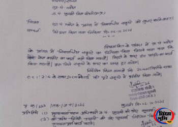 Sidhi kusmi news,खबर का असर: भदौरा में चबूतरा निर्माण की जांच, सहायक यंत्री ने सीईओ को भेजी रिपोर्ट