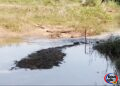 Dead Body Found Near River: गेदुरा गांव में नदी किनारे मछली पकड़ने के जाल में लिपटा मिला नवजात का शव, सेमरिया पुलिस जांच में जुटी