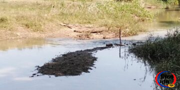 Dead Body Found Near River: गेदुरा गांव में नदी किनारे मछली पकड़ने के जाल में लिपटा मिला नवजात का शव, सेमरिया पुलिस जांच में जुटी 53 Dead Body Found Near River: गेदुरा गांव में नदी किनारे मछली पकड़ने के जाल में लिपटा मिला नवजात का शव, सेमरिया पुलिस जांच में जुटी